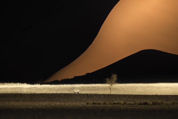 Dune rosse del Namib al tramonto